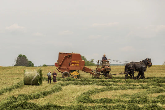 Sustainability in Sugar Production Key Insights for You